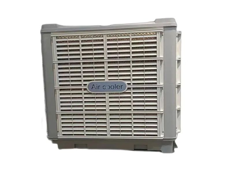 大型工業(yè)冷風(fēng)機(jī)